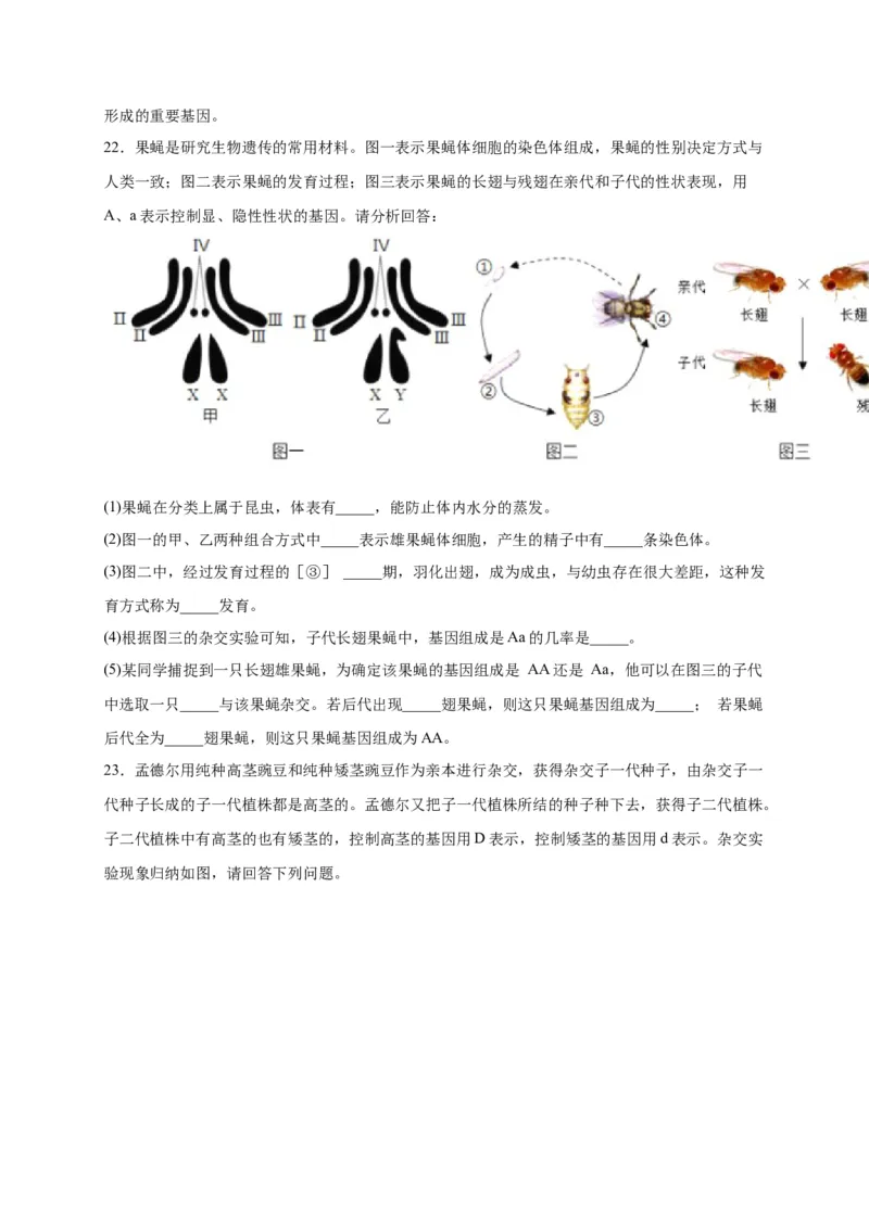 第二单元生物的遗传与变异（选拔卷）-单元测试（人教版）（原卷版）_初中全科电子版试卷练习试题_生物_生物8下练习_人教生物8年级下单元试卷38份