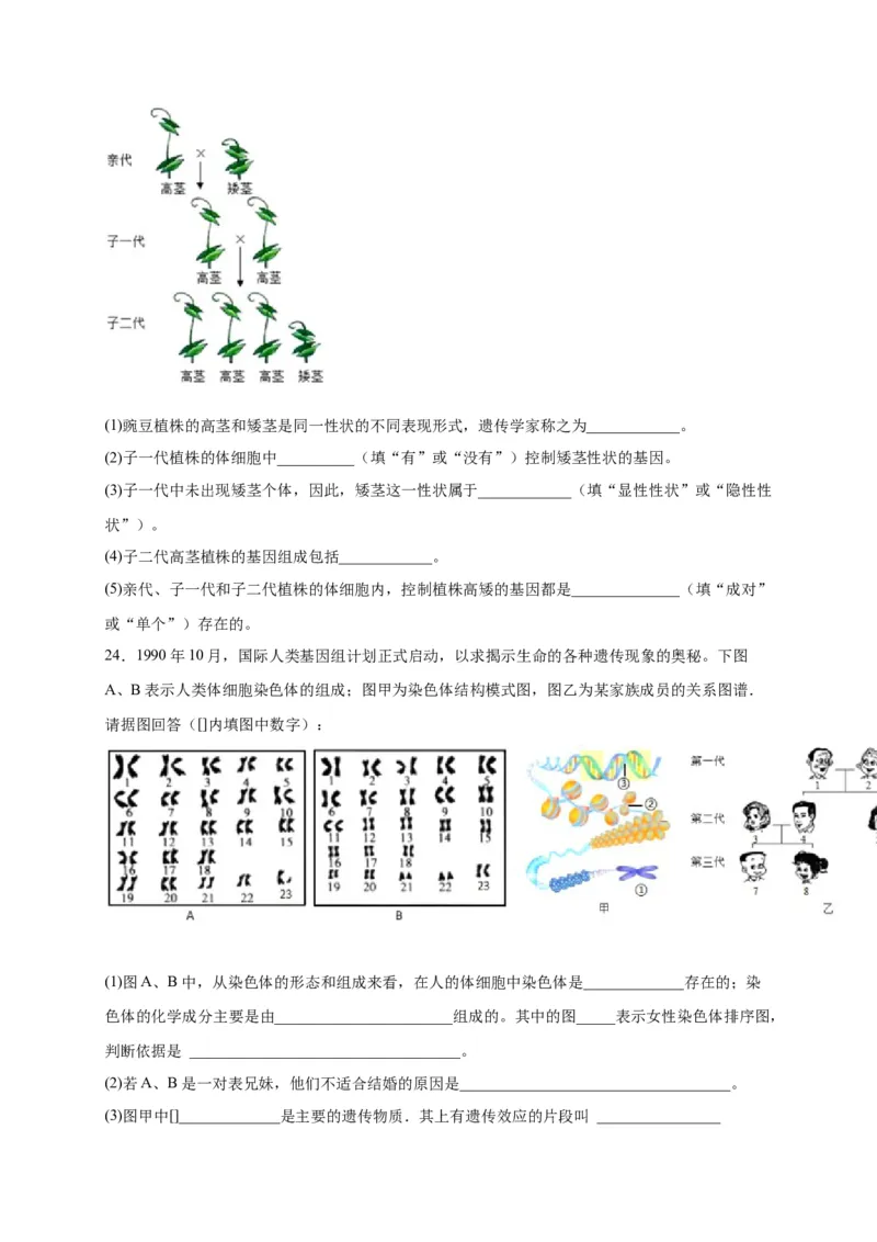 第二单元生物的遗传与变异（选拔卷）-单元测试（人教版）（原卷版）_初中全科电子版试卷练习试题_生物_生物8下练习_人教生物8年级下单元试卷38份