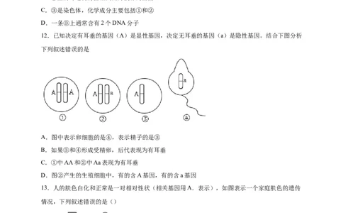 第二单元生物的遗传与变异（选拔卷）-单元测试（人教版）（原卷版）_初中全科电子版试卷练习试题_生物_生物8下练习_人教生物8年级下单元试卷38份