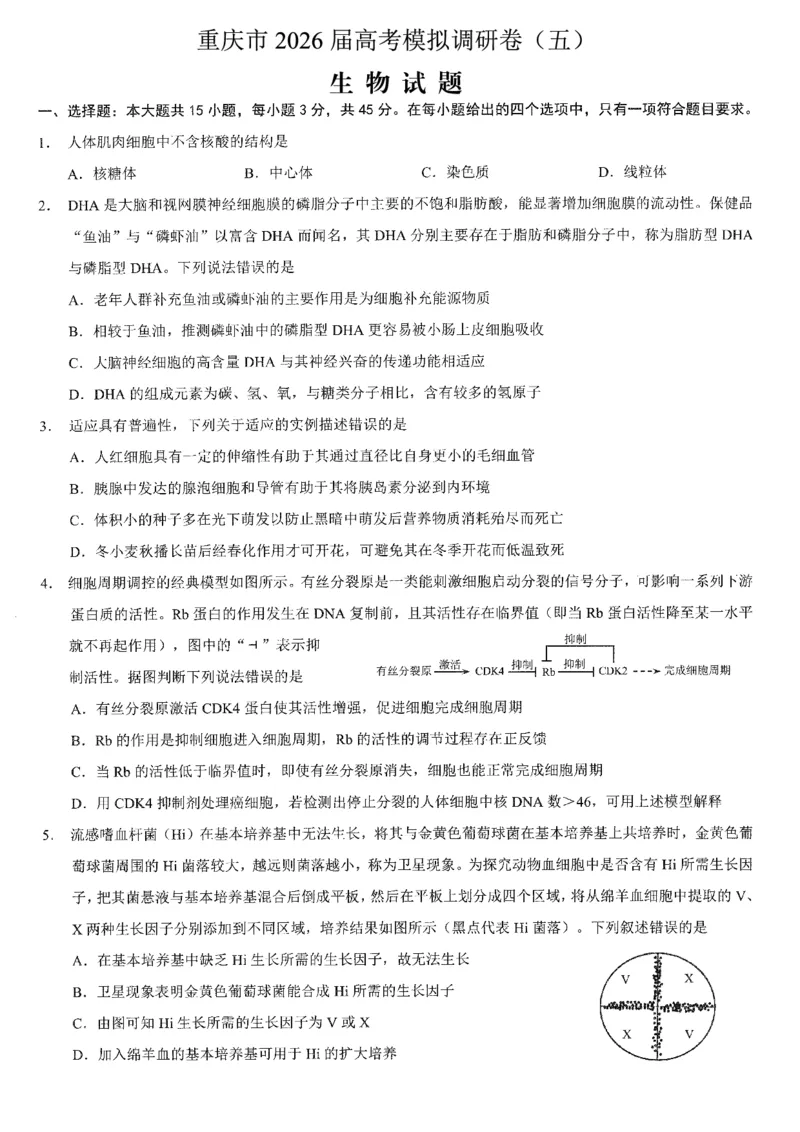 2026年普通高等学校招生全国统一考试康德调研（五）生物+答案_2024-2026高三（6-6月题库）_2026年04月高三试卷_260426重庆市2026年普通高等学校招生全国统一考试康德调研（五）（全科）