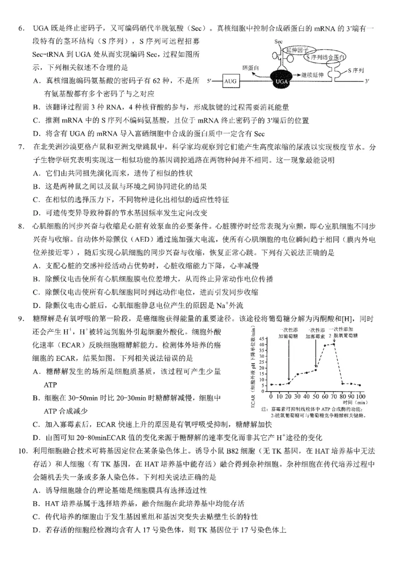 2026年普通高等学校招生全国统一考试康德调研（五）生物+答案_2024-2026高三（6-6月题库）_2026年04月高三试卷_260426重庆市2026年普通高等学校招生全国统一考试康德调研（五）（全科）