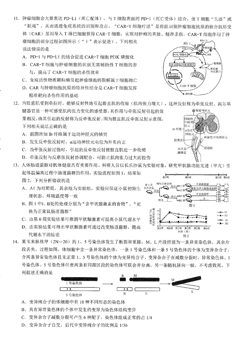2026年普通高等学校招生全国统一考试康德调研（五）生物+答案_2024-2026高三（6-6月题库）_2026年04月高三试卷_260426重庆市2026年普通高等学校招生全国统一考试康德调研（五）（全科）
