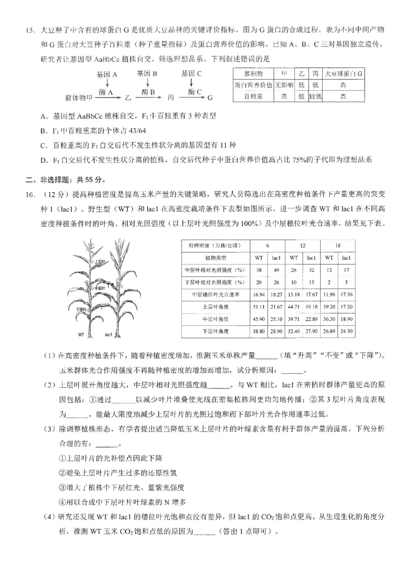 2026年普通高等学校招生全国统一考试康德调研（五）生物+答案_2024-2026高三（6-6月题库）_2026年04月高三试卷_260426重庆市2026年普通高等学校招生全国统一考试康德调研（五）（全科）