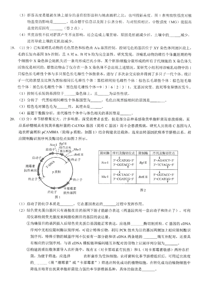 2026年普通高等学校招生全国统一考试康德调研（五）生物+答案_2024-2026高三（6-6月题库）_2026年04月高三试卷_260426重庆市2026年普通高等学校招生全国统一考试康德调研（五）（全科）