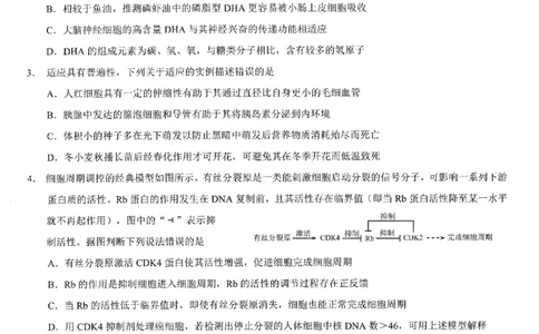 2026年普通高等学校招生全国统一考试康德调研（五）生物+答案_2024-2026高三（6-6月题库）_2026年04月高三试卷_260426重庆市2026年普通高等学校招生全国统一考试康德调研（五）（全科）