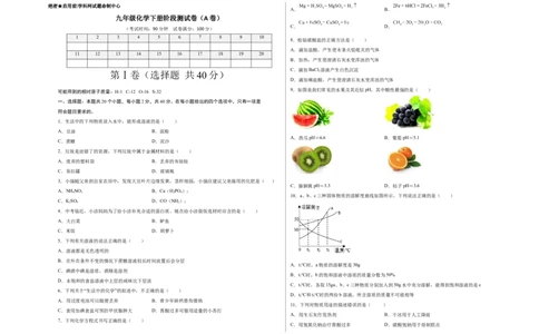 阶段测试卷（A卷）（人教版）（考试版）_初中全科电子版试卷练习试题_化学_9年级上下册化学试题_9年级下试题_人教化学九年级下月考试卷（006份）
