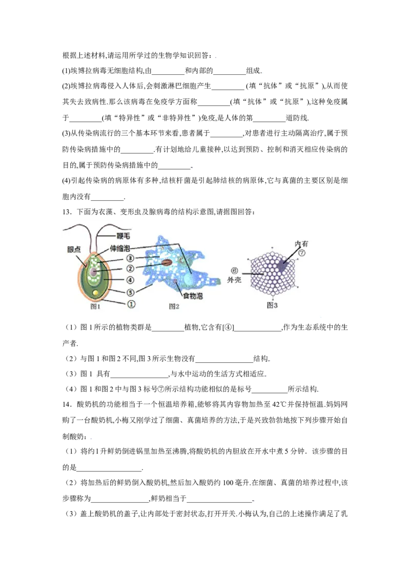 第四章细菌和真菌过关测试-（人教版）（解析版）_初中全科电子版试卷练习试题_生物_生物8上练习_人教生物8年级上单元试卷48份