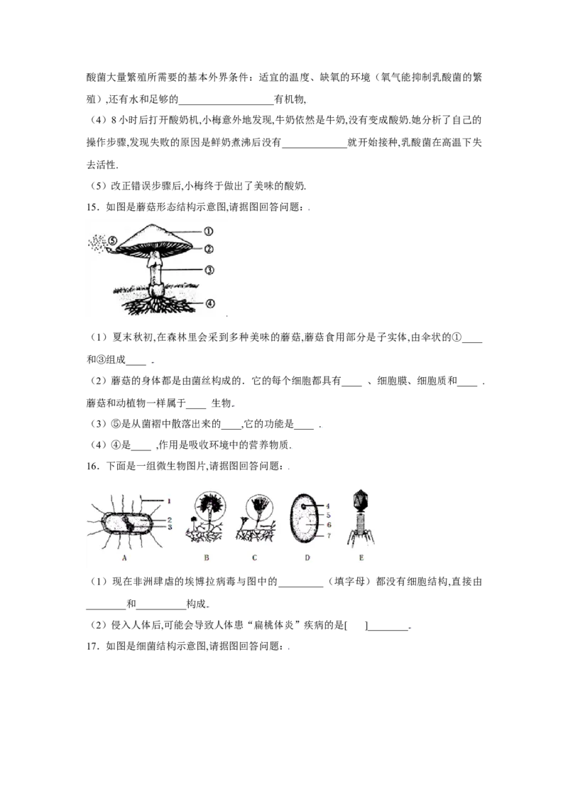 第四章细菌和真菌过关测试-（人教版）（解析版）_初中全科电子版试卷练习试题_生物_生物8上练习_人教生物8年级上单元试卷48份
