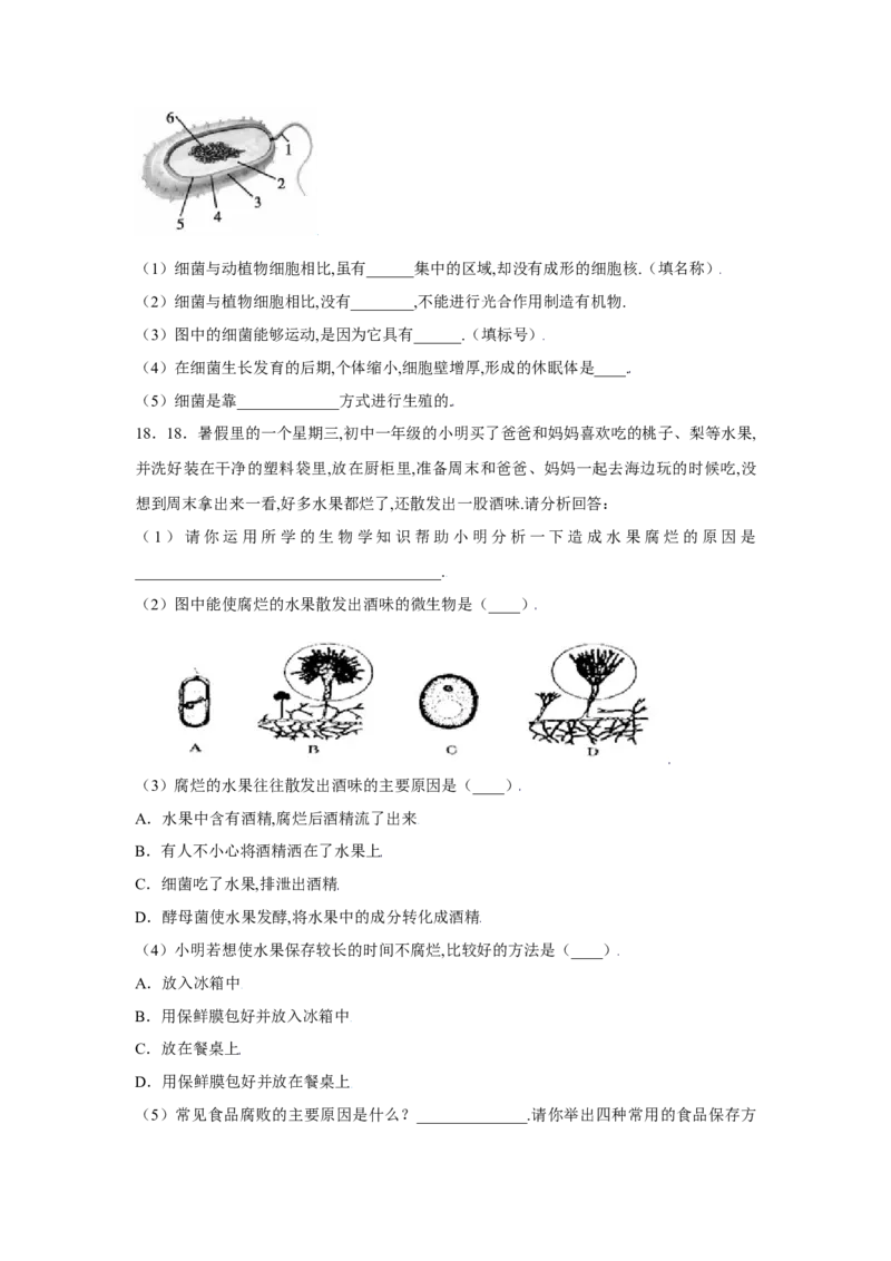 第四章细菌和真菌过关测试-（人教版）（解析版）_初中全科电子版试卷练习试题_生物_生物8上练习_人教生物8年级上单元试卷48份
