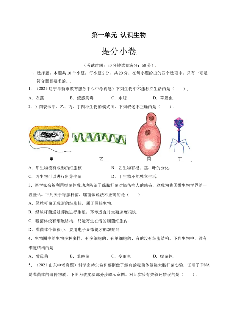 第五单元（第五章）病毒（提分小卷）-（人教版）（原卷版）_初中全科电子版试卷练习试题_生物_生物8上练习_人教生物8年级上单元试卷48份