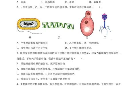 第五单元（第五章）病毒（提分小卷）-（人教版）（原卷版）_初中全科电子版试卷练习试题_生物_生物8上练习_人教生物8年级上单元试卷48份