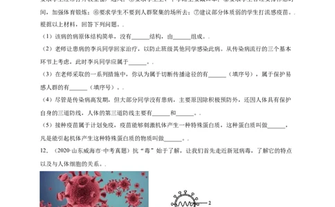 第五单元（第五章）病毒（提分小卷）-（人教版）（原卷版）_初中全科电子版试卷练习试题_生物_生物8上练习_人教生物8年级上单元试卷48份