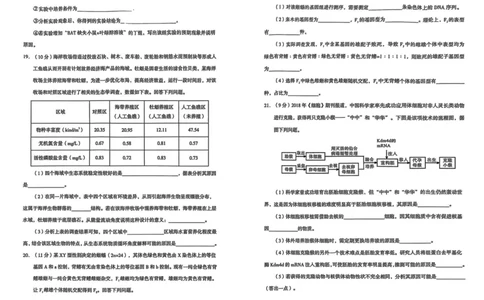 2026年兰州市高三模拟考试生物_2024-2026高三（6-6月题库）_2026年03月高三试卷_2603132026届甘肃兰州市下学期高三模拟考试（一模）_2026届甘肃省兰州市下学期高三一模生物试题（含答案）