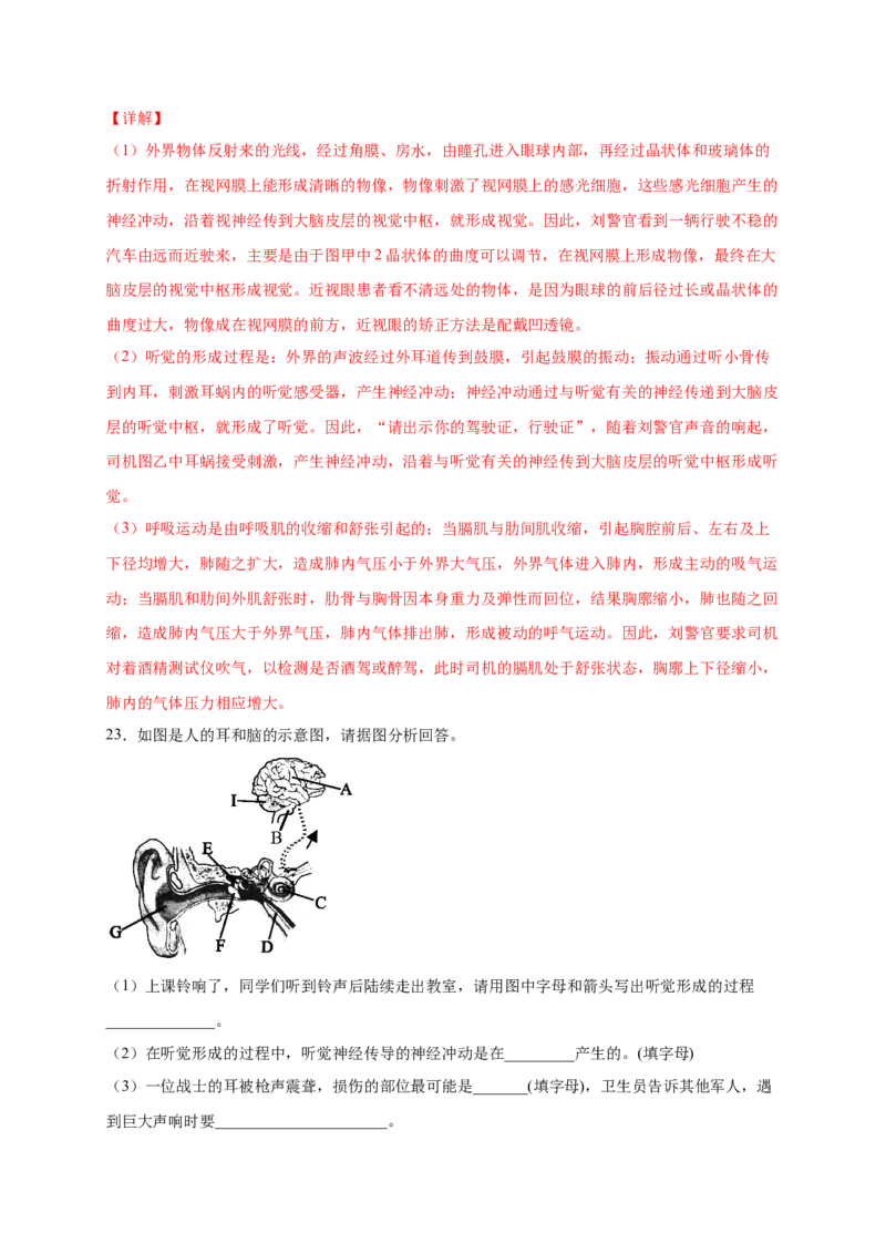 第五、六章人体内废物的排出和对生命活动的调节（能力提升）-（人教版）（解析版）_初中全科电子版试卷练习试题_生物_生物人教版7下练习_人教生物7年级下单元试卷33份