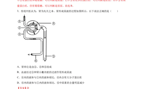 第五、六章人体内废物的排出和对生命活动的调节（能力提升）-（人教版）（解析版）_初中全科电子版试卷练习试题_生物_生物人教版7下练习_人教生物7年级下单元试卷33份