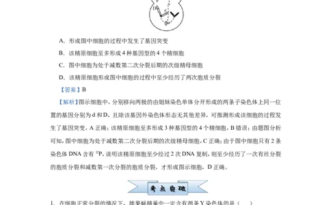 原创（新高考）2021届小题必练8遗传的细胞学基础教师版_新高考复习资料_2021年新高考资料_2021届（新高考）高考生物小题必练_原创（新高考）2021届小题必练8遗传的细胞学基础