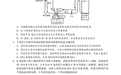 2026年邵阳市高三第二次联考试题生物_2024-2026高三（6-6月题库）_2026年03月高三试卷_260321湖南省2026年邵阳市高三第二次联考（全科）_2026年邵阳市高三第二次联考试题生物