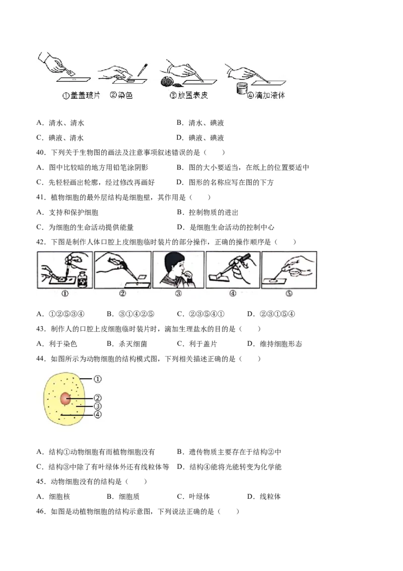 题型01（选择题）-（人教版）（原卷版）_初中全科电子版试卷练习试题_生物_生物人教版7上练习&mdash;24新版已更新_人教生物7年级上专项练习28份