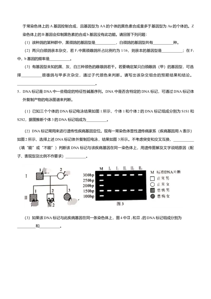 原创2021届高三大题优练4伴性遗传及人类遗传病学生版_通用版（老高考）复习资料_2023年复习资料_专项复习_2023《微专题&middot;小练习》&middot;生物_模拟题_2021届大题优练-生物