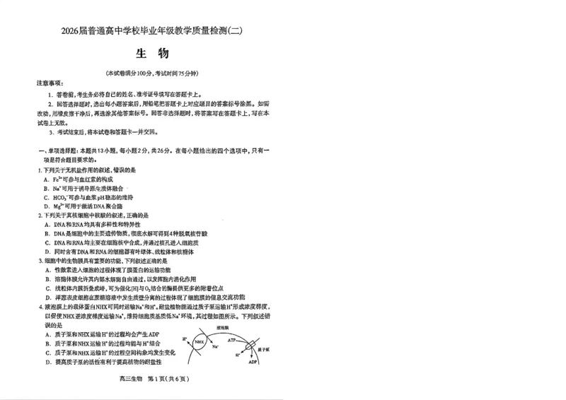 2026年石家庄高三质检二生物试题_2024-2026高三（6-6月题库）_2026年04月高三试卷_260425河北省石家庄市2026届高三二模（石家庄二模）（全科）