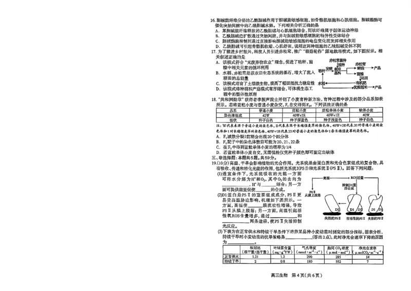 2026年石家庄高三质检二生物试题_2024-2026高三（6-6月题库）_2026年04月高三试卷_260425河北省石家庄市2026届高三二模（石家庄二模）（全科）