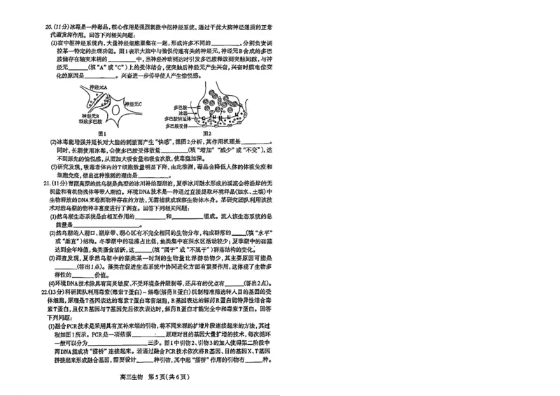 2026年石家庄高三质检二生物试题_2024-2026高三（6-6月题库）_2026年04月高三试卷_260425河北省石家庄市2026届高三二模（石家庄二模）（全科）