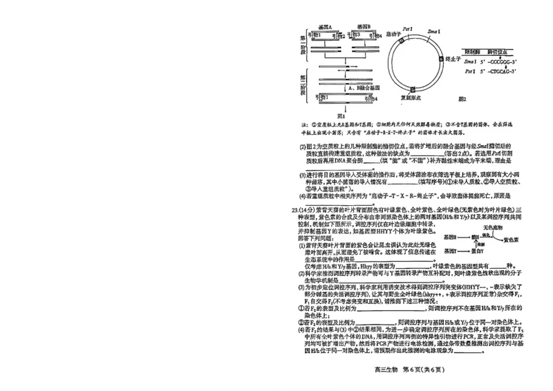 2026年石家庄高三质检二生物试题_2024-2026高三（6-6月题库）_2026年04月高三试卷_260425河北省石家庄市2026届高三二模（石家庄二模）（全科）