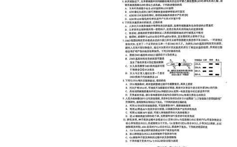 2026年石家庄高三质检二生物试题_2024-2026高三（6-6月题库）_2026年04月高三试卷_260425河北省石家庄市2026届高三二模（石家庄二模）（全科）