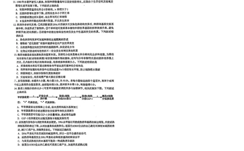 2026年石家庄高三质检二生物试题_2024-2026高三（6-6月题库）_2026年04月高三试卷_260425河北省石家庄市2026届高三二模（石家庄二模）（全科）