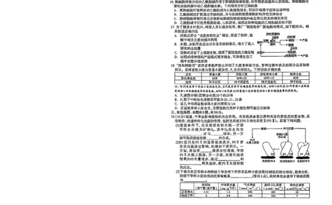 2026年石家庄高三质检二生物试题_2024-2026高三（6-6月题库）_2026年04月高三试卷_260425河北省石家庄市2026届高三二模（石家庄二模）（全科）