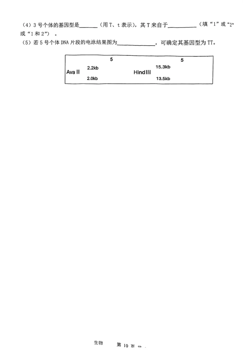 12校联考2026高三一模生物试卷_2024-2026高三（6-6月题库）_2026年04月高三试卷_260402天津市十二区重点学校2025&mdash;2026学年高三下学期毕业联考（一）（全科）