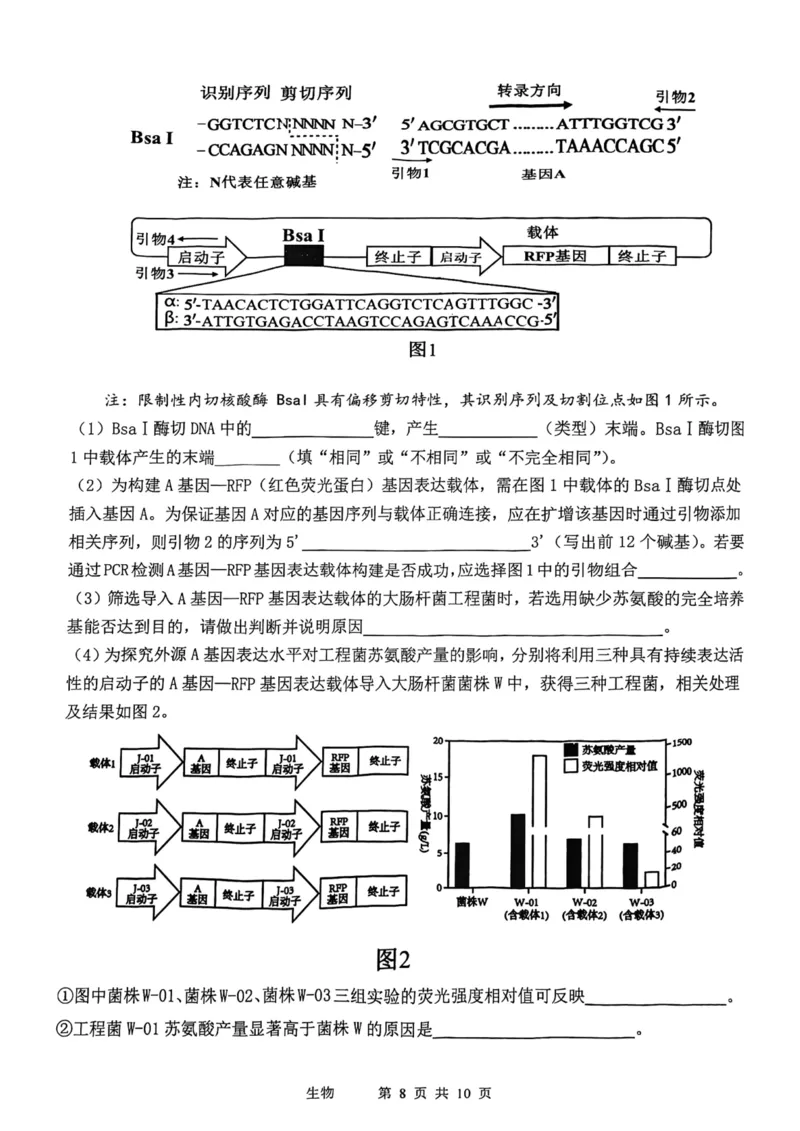 12校联考2026高三一模生物试卷_2024-2026高三（6-6月题库）_2026年04月高三试卷_260402天津市十二区重点学校2025&mdash;2026学年高三下学期毕业联考（一）（全科）