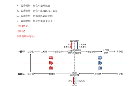 第四单元人体内物质的运输（提分小卷）-单元测试（人教版）（解析版）_初中全科电子版试卷练习试题_生物_生物人教版7下练习_人教生物7年级下单元试卷33份