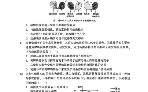 2026年沈阳二模生物试题_2024-2026高三（6-6月题库）_2026年04月高三试卷_260411辽宁省沈阳市2026年高三下学期教学质量监测（二）（全科）
