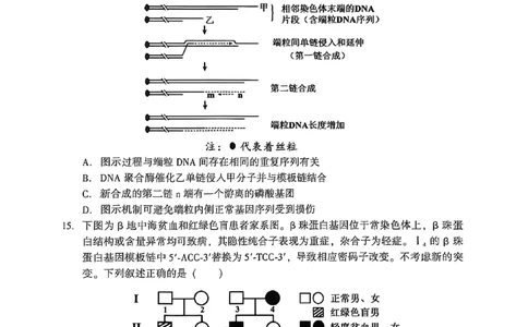 2026年沈阳二模生物试题_2024-2026高三（6-6月题库）_2026年04月高三试卷_260411辽宁省沈阳市2026年高三下学期教学质量监测（二）（全科）