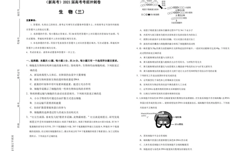 原创（新高考）2021届高考考前冲刺卷生物（三）学生版_新高考复习资料_2021年新高考资料_2021届高考考前冲刺卷（新高考）5.31更新