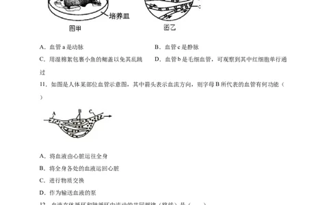 第四章人体内物质的运输（能力提升）-（人教版）（原卷版）_初中全科电子版试卷练习试题_生物_生物人教版7下练习_人教生物7年级下单元试卷33份
