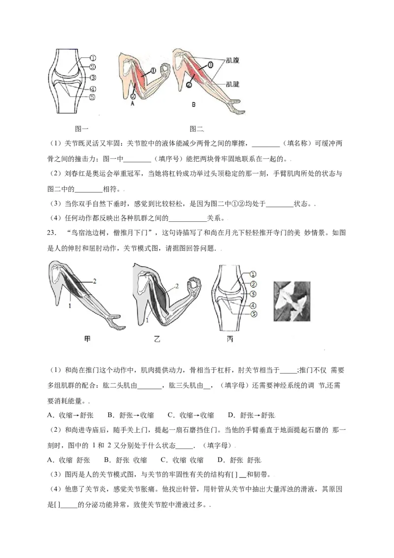 第五单元（第二章）动物的运动和行为（选拔卷）-（人教版）（原卷版）_初中全科电子版试卷练习试题_生物_生物8上练习_人教生物8年级上单元试卷48份