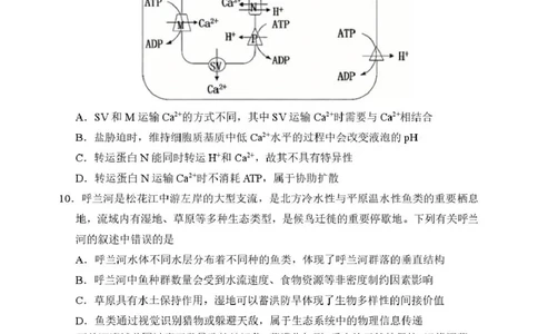 2026哈三中一模生物哈三中2026年高三学年第一次模拟考试生物试题_2024-2026高三（6-6月题库）_2026年03月高三试卷_260310黑龙江省哈尔滨第三中学2026年高三学年第一次模拟考试（全科）