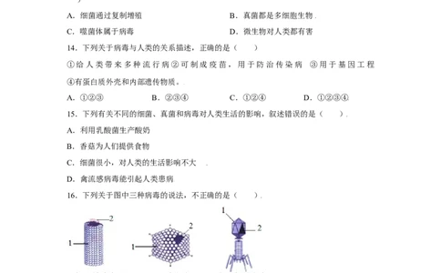 第五章病毒过关测试-（人教版）（原卷版）_初中全科电子版试卷练习试题_生物_生物8上练习_人教生物8年级上单元试卷48份
