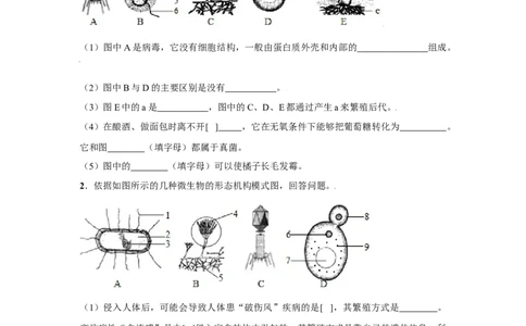第五章病毒过关测试-（人教版）（原卷版）_初中全科电子版试卷练习试题_生物_生物8上练习_人教生物8年级上单元试卷48份