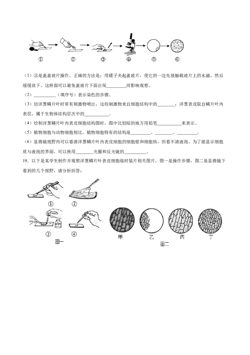 题型02（探究题）-（人教版）（原卷版）_初中全科电子版试卷练习试题_生物_生物人教版7上练习&mdash;24新版已更新_人教生物7年级上专项练习28份