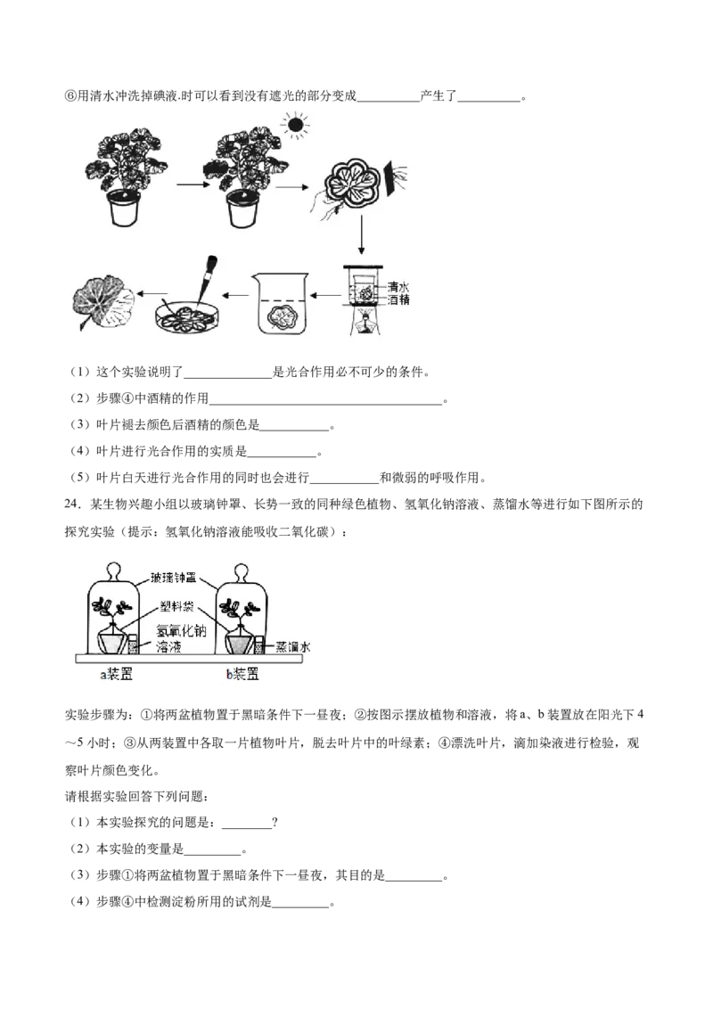 题型02（探究题）-（人教版）（原卷版）_初中全科电子版试卷练习试题_生物_生物人教版7上练习&mdash;24新版已更新_人教生物7年级上专项练习28份