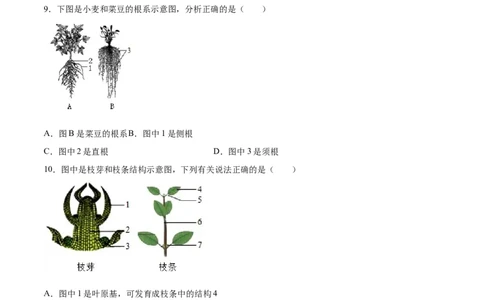 题型02（探究题）-（人教版）（原卷版）_初中全科电子版试卷练习试题_生物_生物人教版7上练习&mdash;24新版已更新_人教生物7年级上专项练习28份