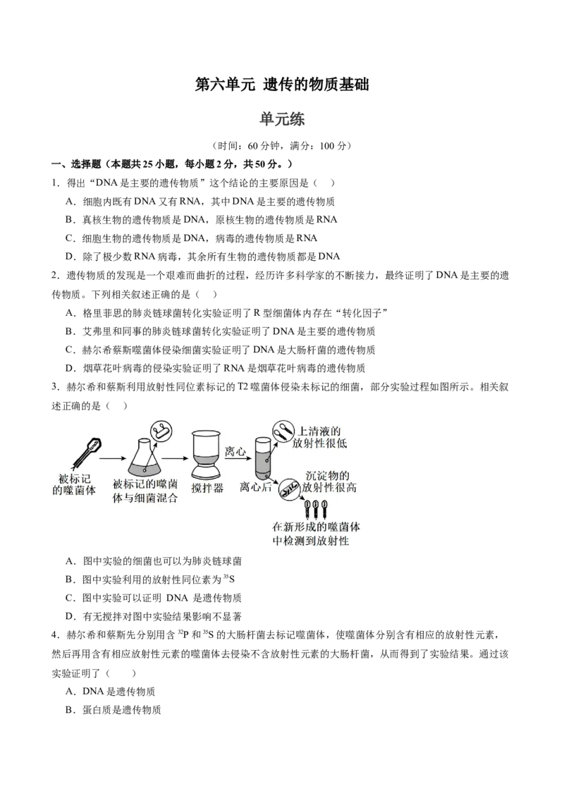 单元检测卷06遗传的物质基础（原卷版）_2025年新高考资料_一轮复习_2025年高考生物一轮复习考点通关卷（新高考通用）