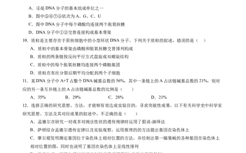 单元检测卷06遗传的物质基础（原卷版）_2025年新高考资料_一轮复习_2025年高考生物一轮复习考点通关卷（新高考通用）