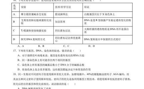 单元检测卷06遗传的物质基础（原卷版）_2025年新高考资料_一轮复习_2025年高考生物一轮复习考点通关卷（新高考通用）