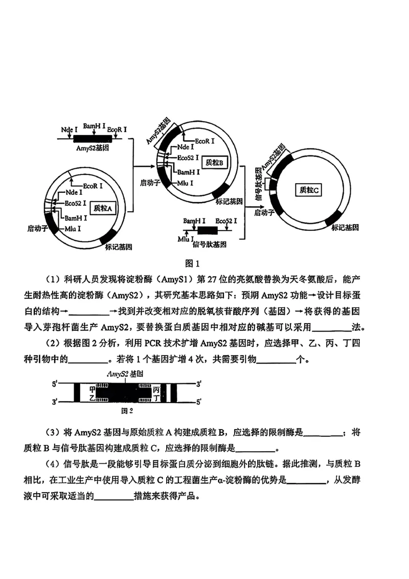 2026届吉林省延边州高三3月教学质量检测生物（含答案）_2024-2026高三（6-6月题库）_2026年03月高三试卷_2603152026届吉林省延边州高三3月教学质量检测（全科）
