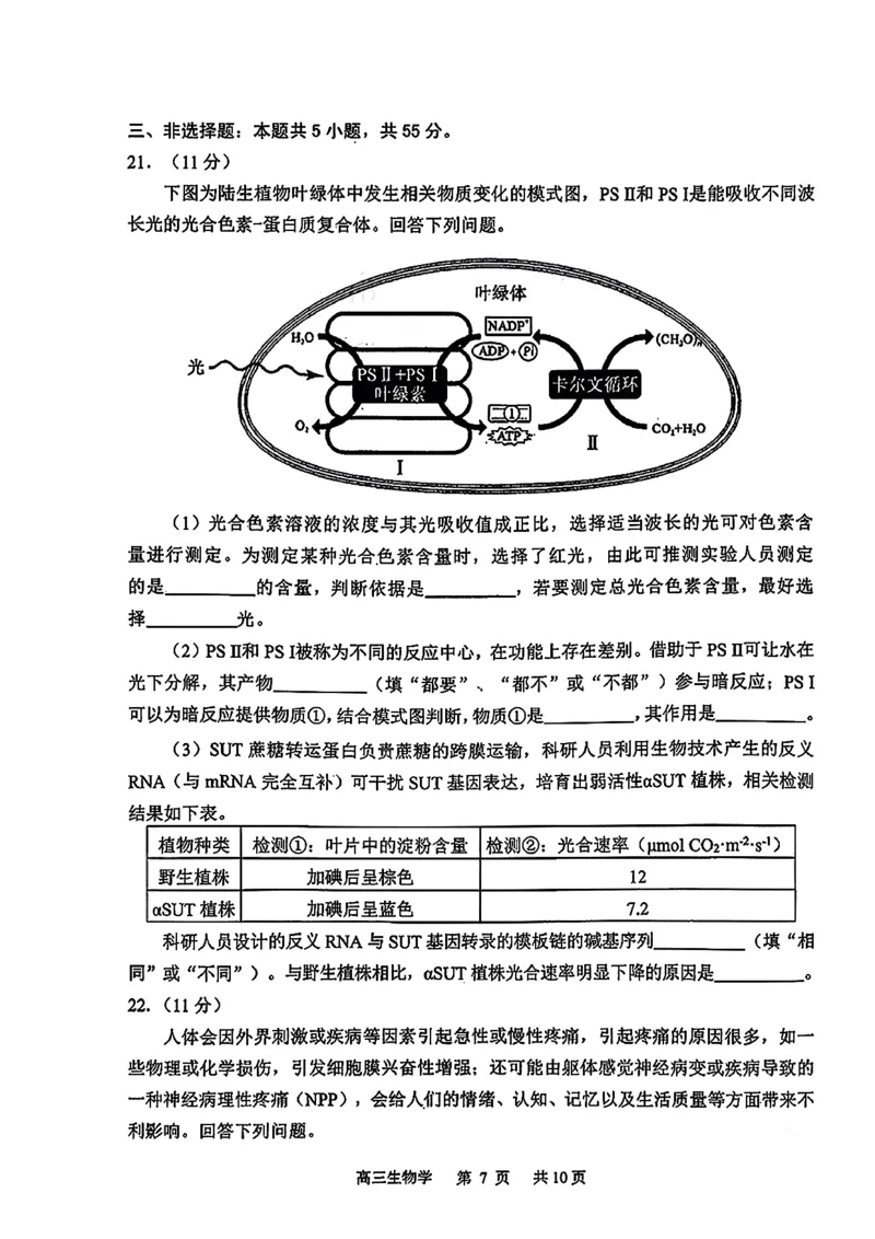 2026届吉林省延边州高三3月教学质量检测生物（含答案）_2024-2026高三（6-6月题库）_2026年03月高三试卷_2603152026届吉林省延边州高三3月教学质量检测（全科）