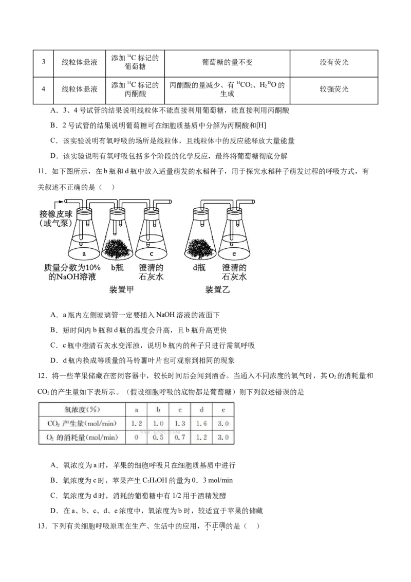 单元检测卷03细胞的能量供应和利用（原卷版）_新高考复习资料_2025年新高考资料_2025年高考生物一轮复习考点通关卷（新高考通用）